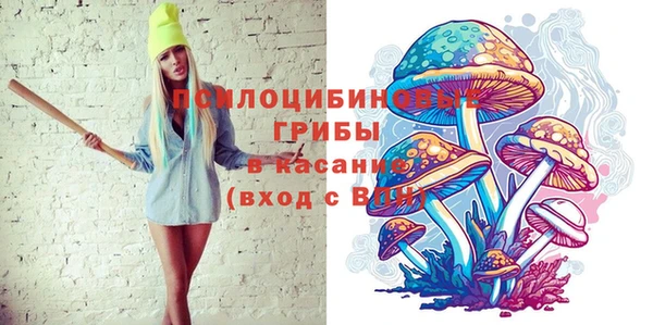 дмт Арсеньев