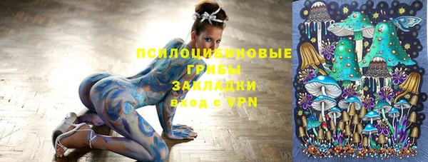 дмт Арсеньев