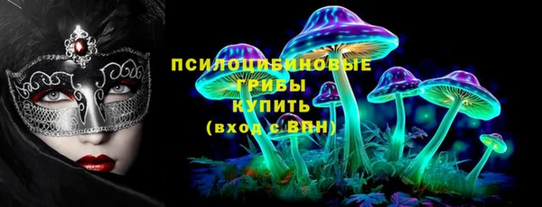 дмт Арсеньев