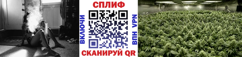 Бошки марихуана SATIVA & INDICA Барабинск